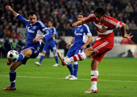 庭的日常娱 庭的日常娱